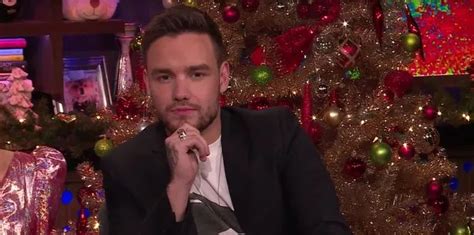 harry styles dick pic|Liam Payne lets slip who surprisingly has the biggest penis of。